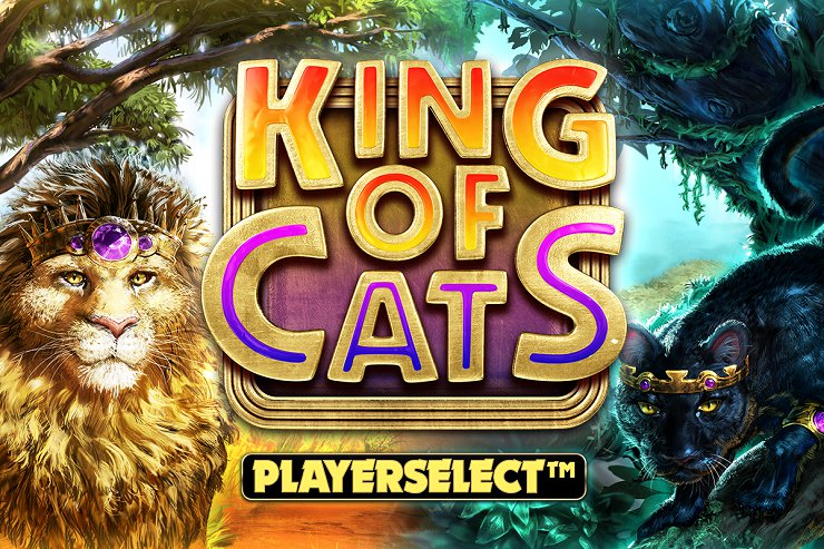 royal vegas online casino app